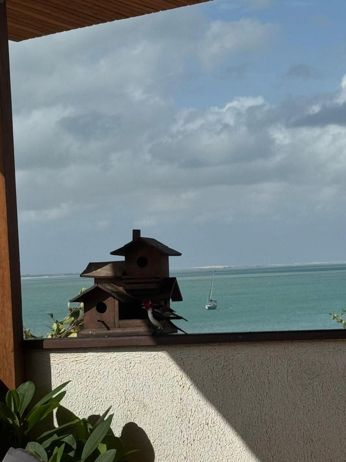 Pousada Amazing Jeri Jijoca de Jericoacoara Exterior foto